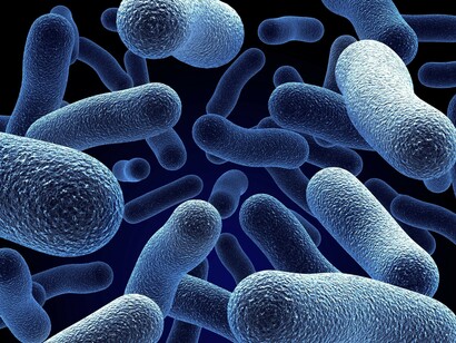 Cellular life