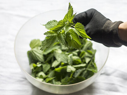 Maneggiare con cura!