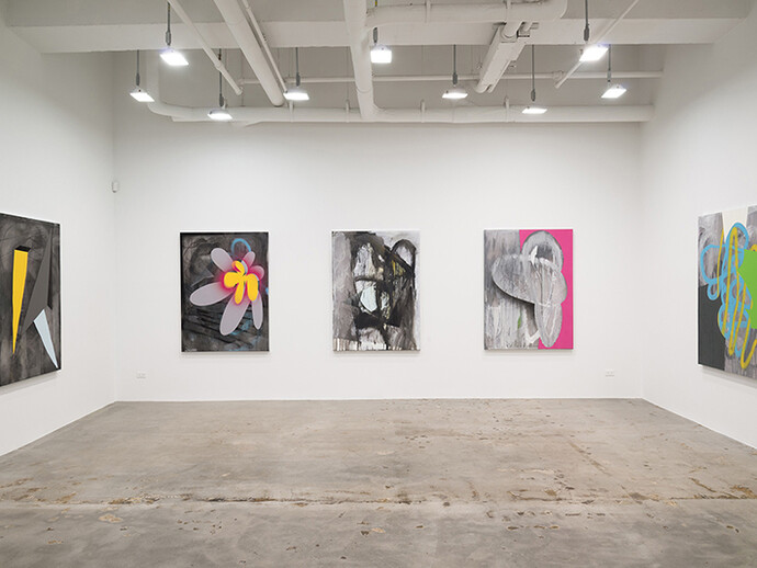 Joe Fleming, Installation view