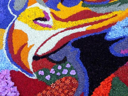 Una creazione dell'Infiorata
