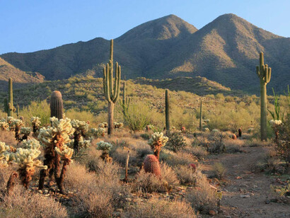 Don José González ingresó ilegalmente a los Estados Unidos corriendo por el desierto de Sonora-Arizona