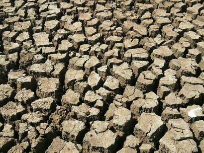 This stark image of cracked, arid land illustrates the devastating effects of desertification, a major ecological issue