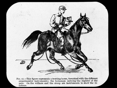 Photographic Magic Lantern Slide by Étienne Jules Marey, Muybridge Collection Kingston Museum