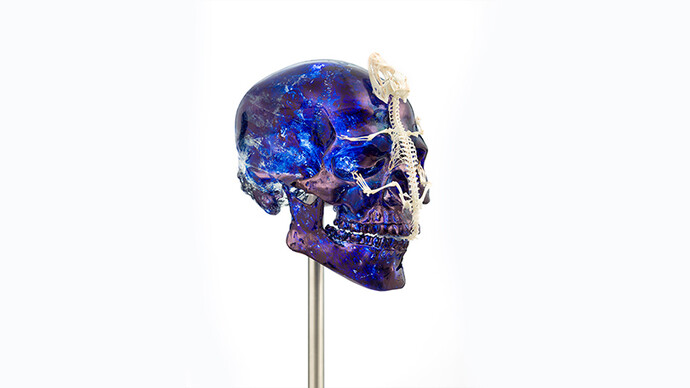 Jan Fabre. Courtesy of Galerie Daniel Templon