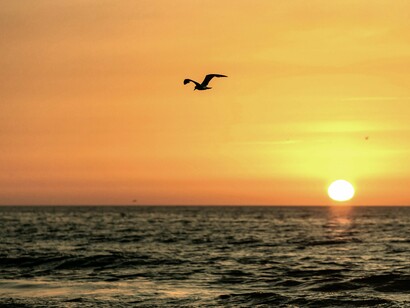 Libertar o pensamento é por em funcionamento outros modos de pensar, que não limitem a mente a reproduzir a realidade percepcionada. Para que o pensar seja livre, há que soltar-se dos conteúdos e conhecimentos elaborados e transmitidos por outros através de livros, aulas e meios de comunicação