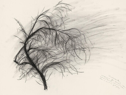 Lili Fischer. Courtesy of Hamburger Kunsthalle
