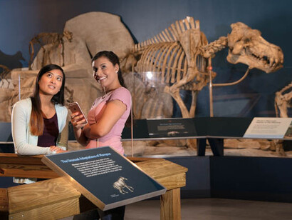 Age of Mammals: The Cenozoic Era. Courtesy of Carnegie Museum of Natural History