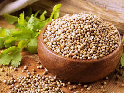 Semi di coriandolo da utilizzare in cucina