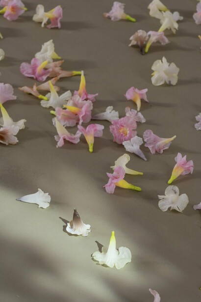 Allora & Calzadilla, exhibition view. Courtesy of the artist and Galerie Chantal Crousel 