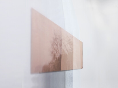 Giulia Cacciuttolo, A safe view from a tamed world, 2020