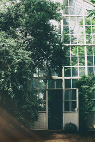 Plantes et nature. Observer la vie des plantes nous fait prendre conscience de la vacuité qui est à chaque instant en nous : une porte vers un espace sans limite