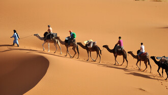 The Sahara desert