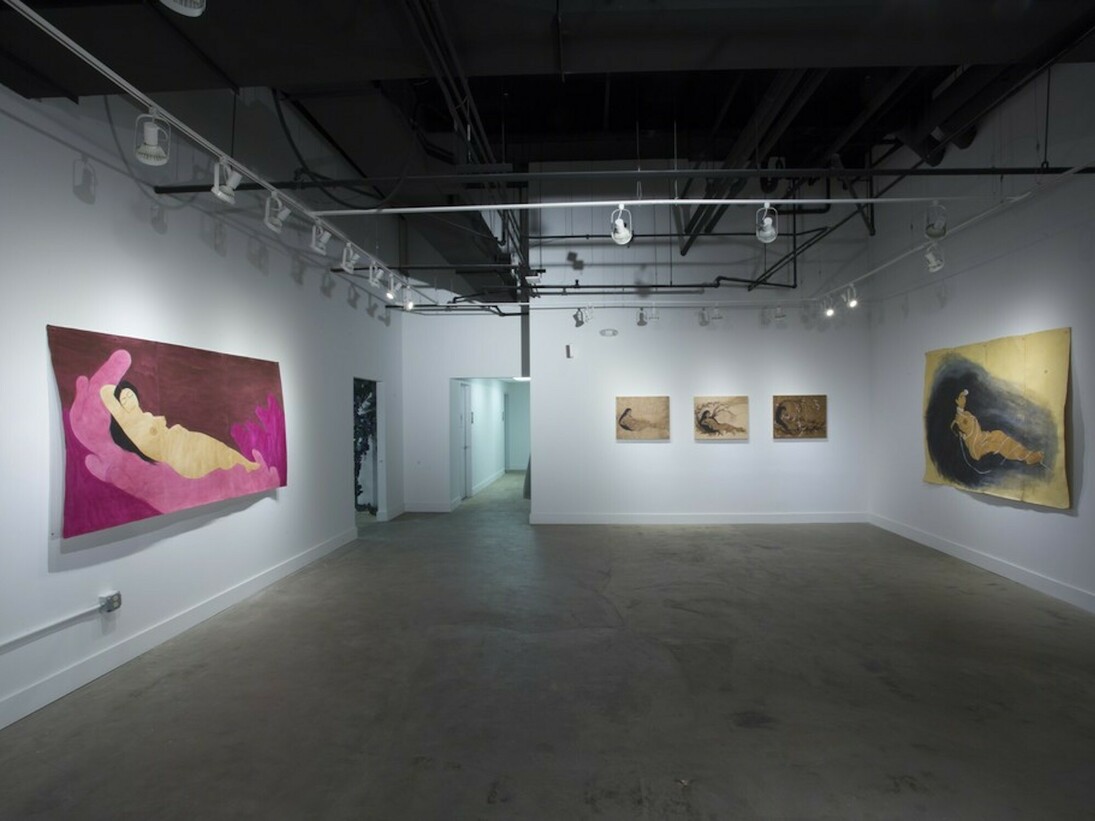 Hiba Schahbaz. Self Portraits, Exhibition view. Courtesy of Project For Empty Space