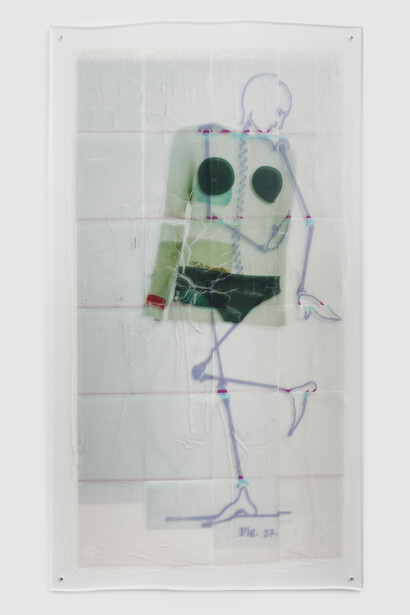Sara Greenberger Rafferty, Untitled, 2014, acrylic polymer and inkjet prints on acetate on Plexiglas, and hardware, Irregular: 72 x 40 1/2 x 1/2 inches (182.9 x 102.9 x 1.3 cm)