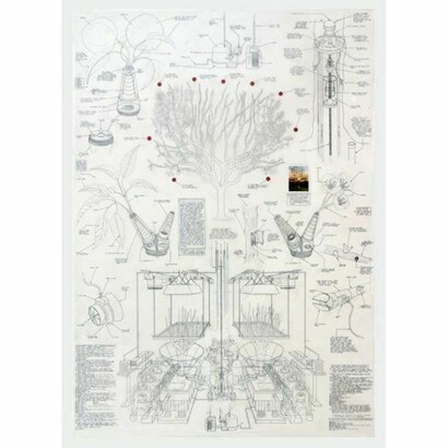 Justin Amrhein, "Replacement Cherry Tree," 2013, Graphite, acrylic and collage on mylar, 57 x 40 inches