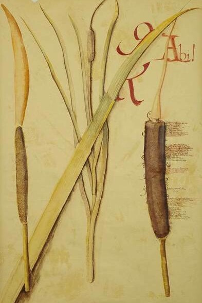 Mariella Busi De Logu, Grandi Pagine, 2004,  tecnica mista su carta intelata