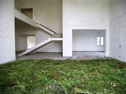 Grass Summer 3