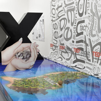 Daniel Keller, Installation view of “TEDxVaduz redux” (with Simon Denny) at T293, 2013, Courtesy T293, Rome