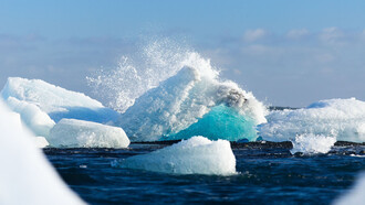 Global warming has changed our world