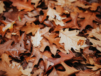 Tras un merecido descanso resucitábamos abrazados