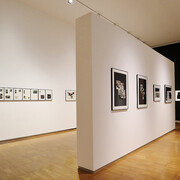 Still even now, exhibition view. Courtesy of Neue Galerie Graz