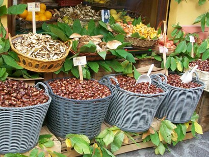 Castagne e funghi a Novafeltria