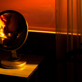 Tania Franco Klein, Rounded mirror, window (self-portrait), from Break in case of emergency, 2022. Courtesy of Yancey Richardson 