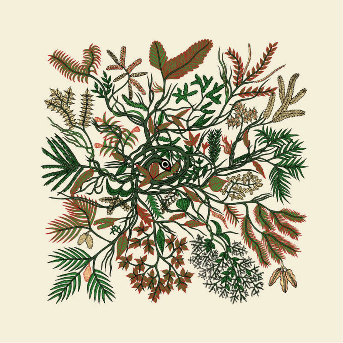 Dal libro "Creazione", Salani, illustrato da Bhajju Shyam - arte Gond (India centrale) 