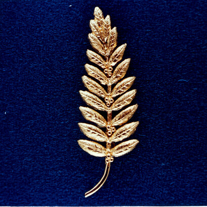 Il ramoscello d’ulivo d’oro lasciato da Neil Armstrong (Apollo 11)
