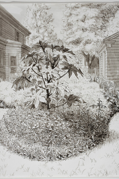 Andrew Raftery, 3rd of August Flowerbed Study Pen and Wash