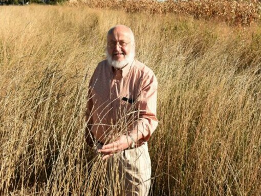 ...pero el kernza acaba de abrir una ventana que va a revoluionar la alimentación del futuro