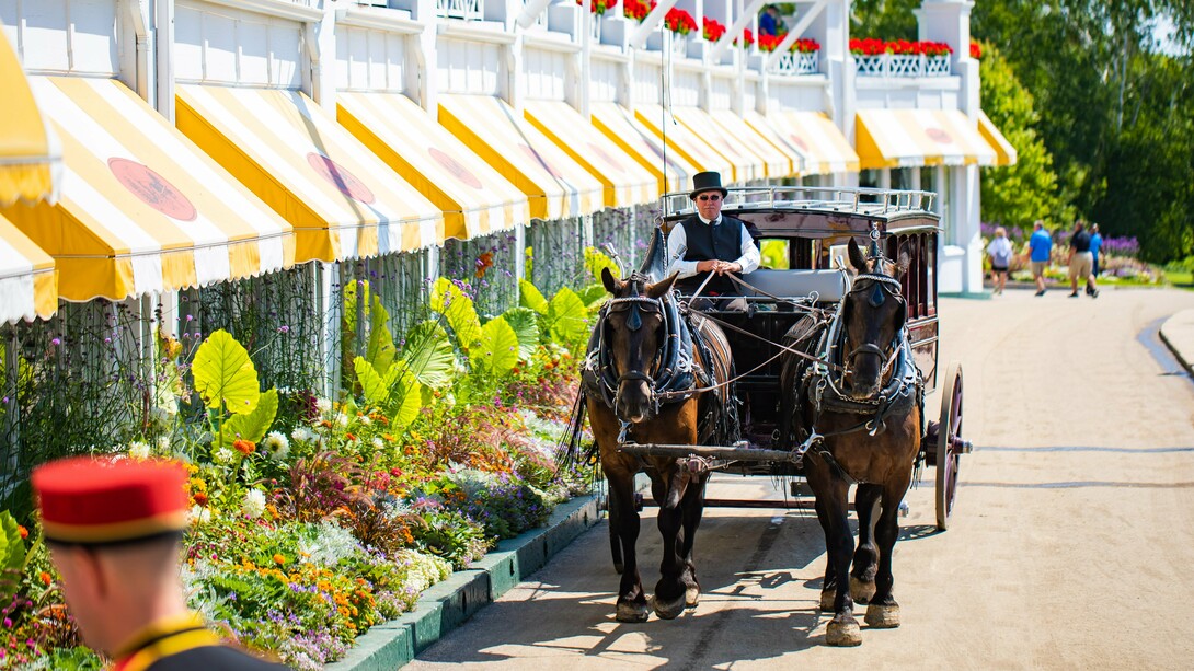 Horse-drawn carriage passing by blooming gardens, portraying Mackinac Island’s transportation tradition preserved for more than a century