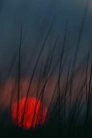 Penumbra de cielo sol y yerbas