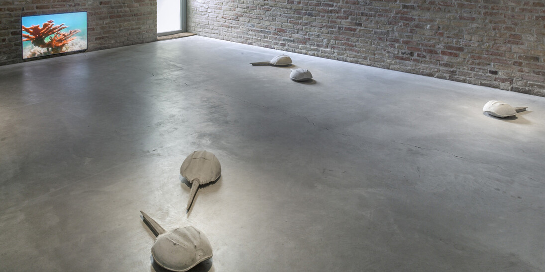 400 Million Years, Exhibition view. Courtesy of König Galerie