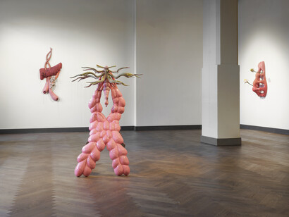 Zsófia Keresztes, The chamoile protocol, exhibition view. Courtesy of König Telegraphenamt 