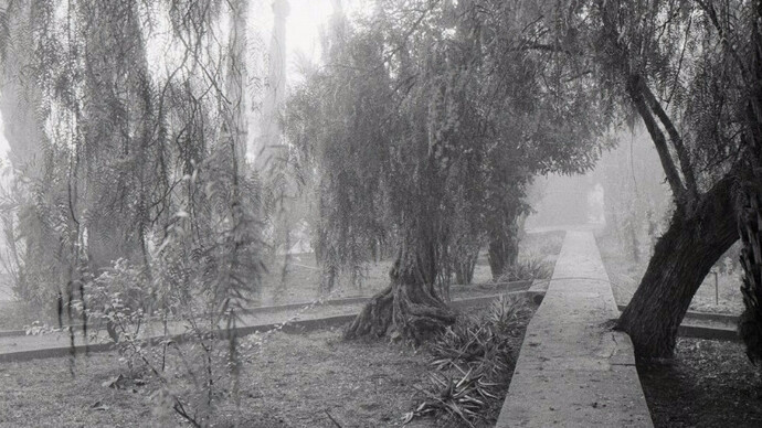 Christine Alaoui. Courtesy of Sulger-Buel Lovell