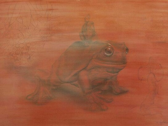 Sapu, Color pencil, acrylic on paper, 16” x 21.5” unframed, 20.25” x 26.25” framed