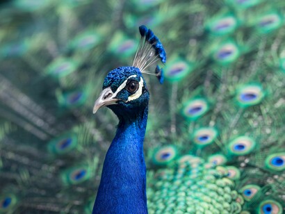 La bellezza della natura