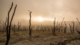 Silhouettes calcinées sous un ciel étouffant : quand la terre se fissure et que la vie s’efface, l’image incarne une réalité que décrit la guerre de l’eau, une violence lente, silencieuse, où priver d’eau revient à condamner sans bruit des populations entières