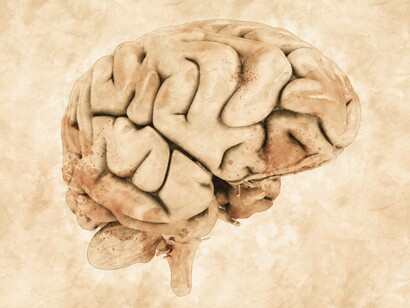 Illustrazione del cervello umano: "Per rendere semplice qualcosa che semplice non è, il funzionamento del cervello è predittivo, si basa su pre-giudizio, pre-visione e pre-occupazione"