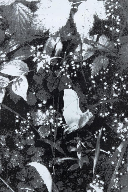 Clic-Clac Collage 7, 2017 
Collaged photocopies, 42.1 x 29.8 cm 
 © The artist, courtesy Sadie Coles HQ, London. Photo by Robert Glowacki. 