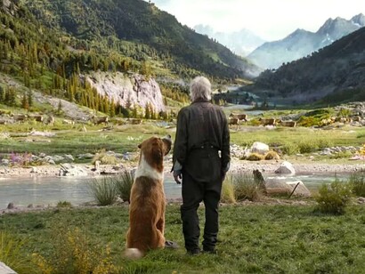 Una scena del film Il richiamo della foresta (2020)