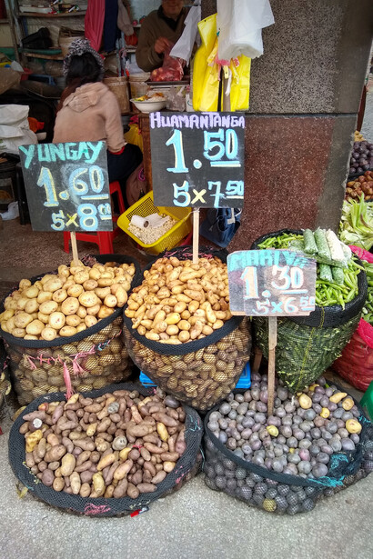 Variedades de papa a la venta en el Mercado Modelo de Huancayo, Perú