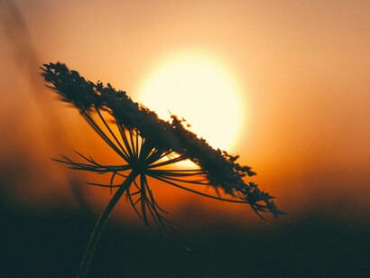 La vida en el planeta Tierra  terminará con la muerte del Sol, cuando sobrevenga el enfriamiento total 