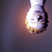 Rose Art Museum. Tommy Hartung, The Bible, 2014. HD Video (color, sound), 48 minutes. Courtesy On Stellar Rays & the artist.