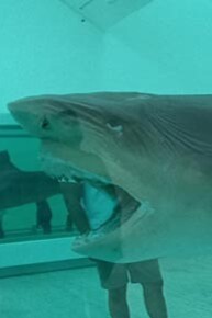 La muerte negada, 2008, Damien Hirst, fotografía: Arturo Romero