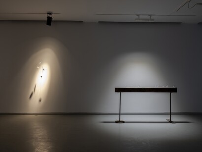 Larry Muñoz, Graceful elegant beasts, exhibition view. Courtesy of Zilberman Gallery