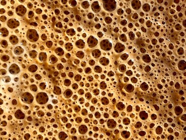 Più che un semplice metodo di conservazione, la fermentazione rappresenta una forma di "digestione esterna" che alleggerisce il lavoro del nostro organismo e valorizza le proprietà del cibo