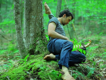 Nature therapy