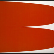 Ellsworth Kelly. In Focus. Courtesy of Tate Liverpool